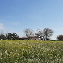 rustic bed breakfast finca angela seville andalusia