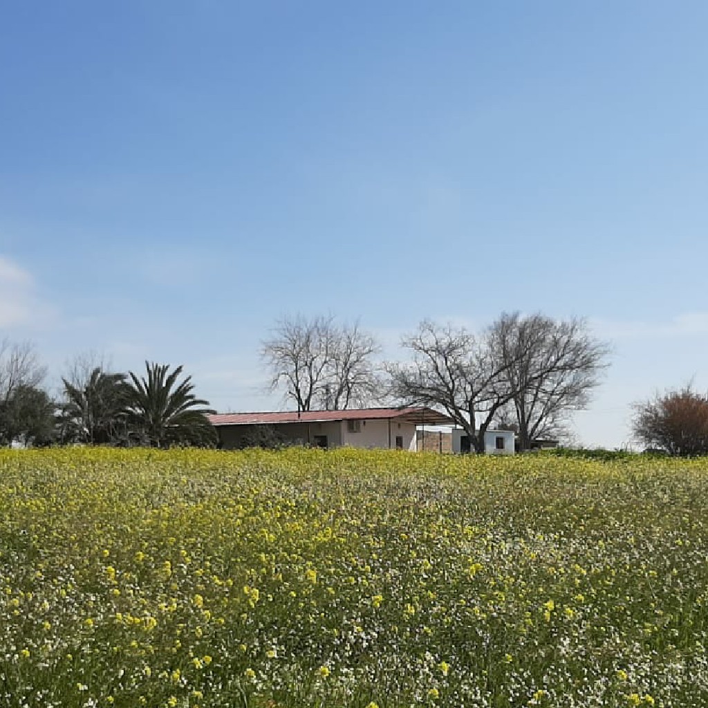 rustic bed breakfast finca angela seville andalusia